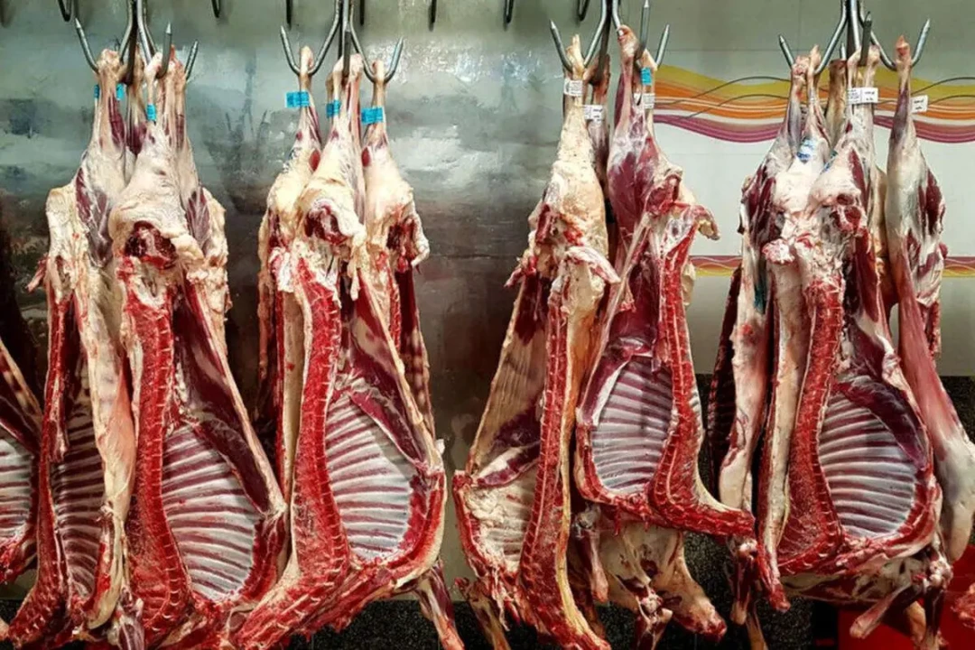 قیمت گوشت قرمز امروز ۴ آبان ۱۴۰۴ + جدول قیمت گوشت قرمز امروز ۴ آبان ۱۴۰۴ + جدول